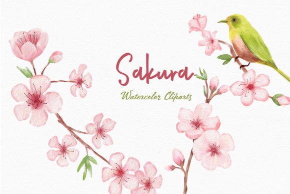 Embrace Nature's Elegance with Sakura Flowers Watercolor Clipart Bird